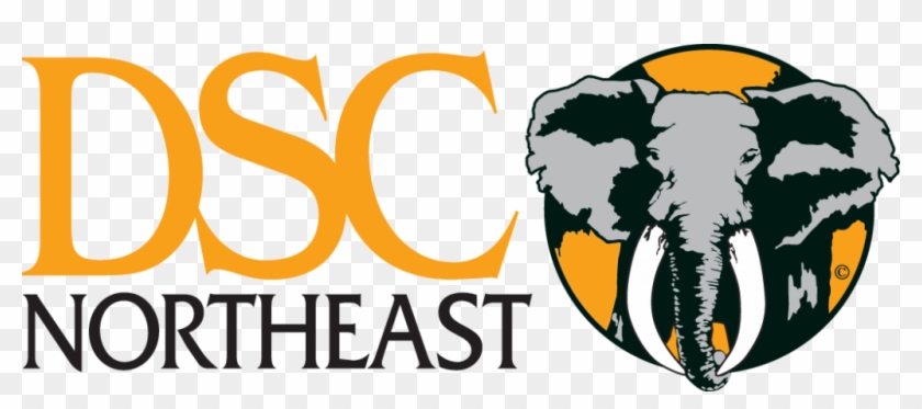 Dsc Northeast - Graphic Design #1070966