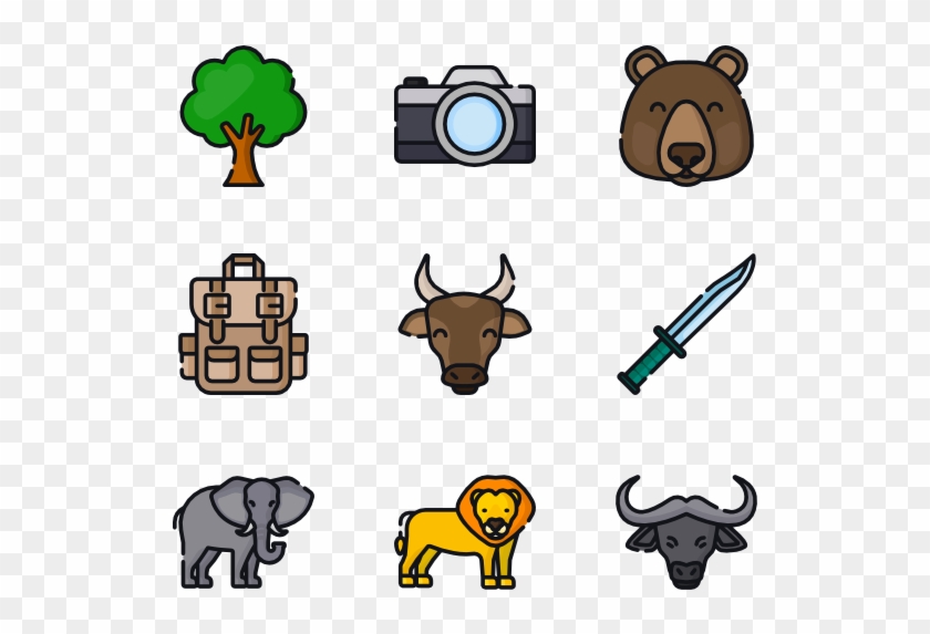 Safari - Safari #1071008