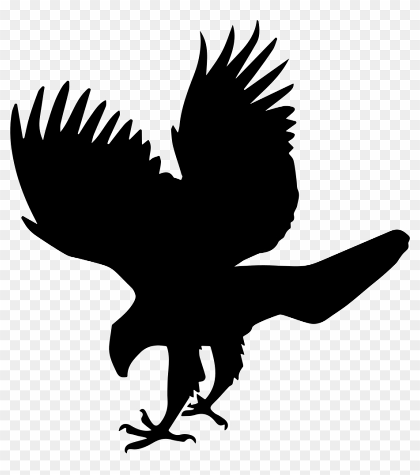 Hawk Bird Animal Shape Comments - Hawk Png #1071274