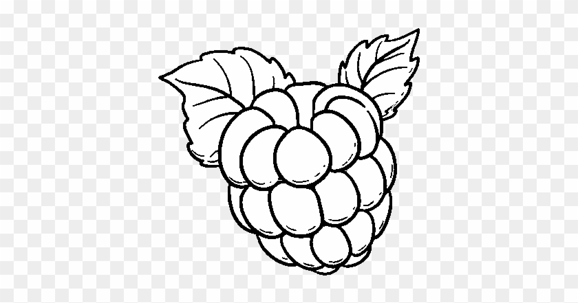 Raspberries Coloring Page Free Printable Pages What - Raspberry Coloring Pages #1072039