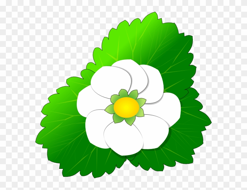 Strawberry Flower Clip Art At Clker - Clip Art #1072168
