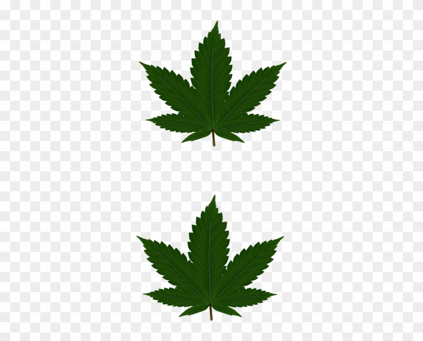 Marihuana Png #1072745