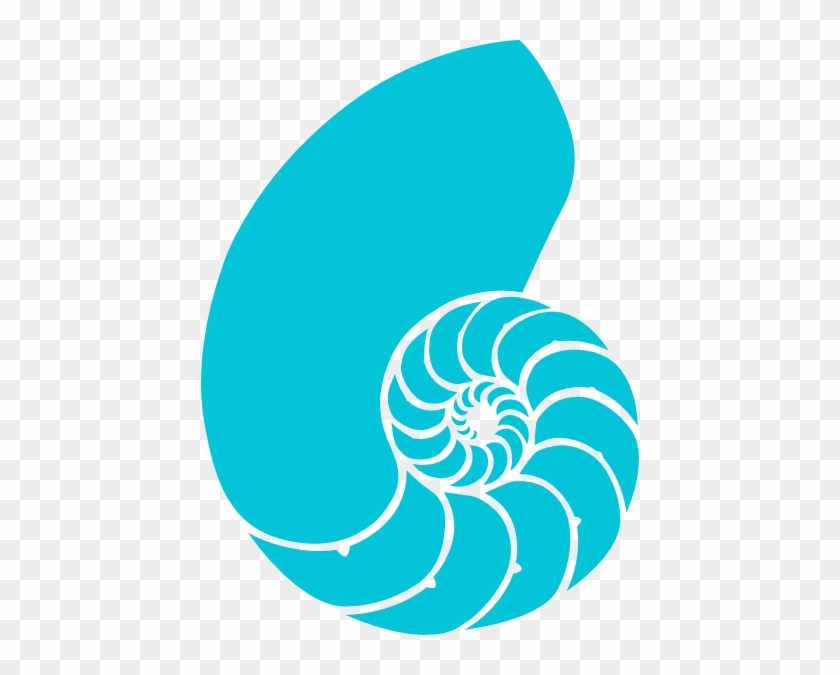 Green And Blue Nautilus Shell Clip Art At Clker Com - Seashell Clipart #1072858