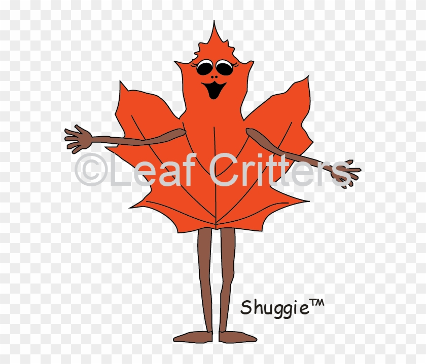 The Maple Leaf - Illustration #1073081