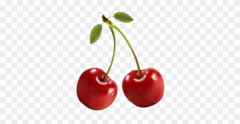 Vysnia - Cherry Olive Pits Pitter Stone Seed Remover Hand Held #1073169