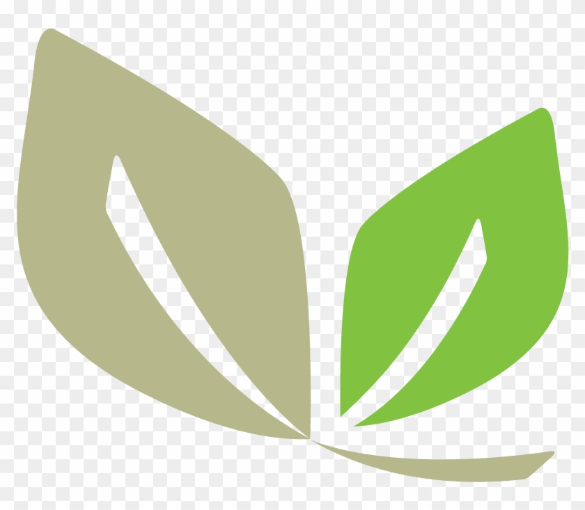 Elixrx Leaf Logo - Pharmacy Leaf #1073552