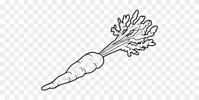 Carotte Coloriage #1073763