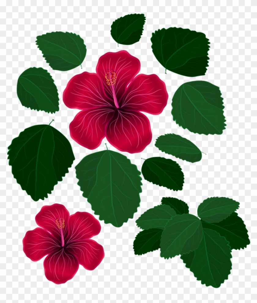 Unique Photos Of Flower With Leaves Pictures Flower - Flower With Leaves Png #1073886
