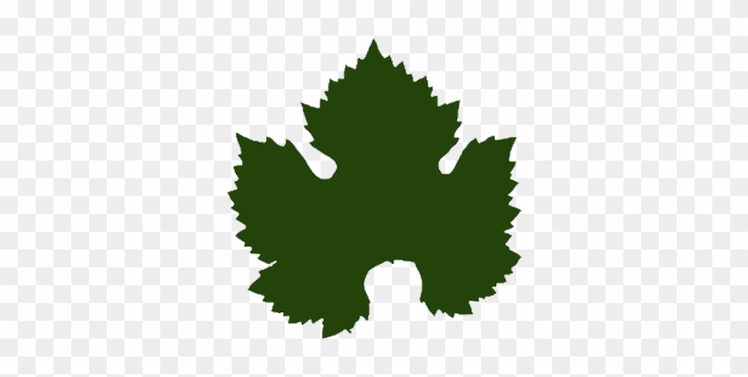 Nebbiolo - Emblem #1074929