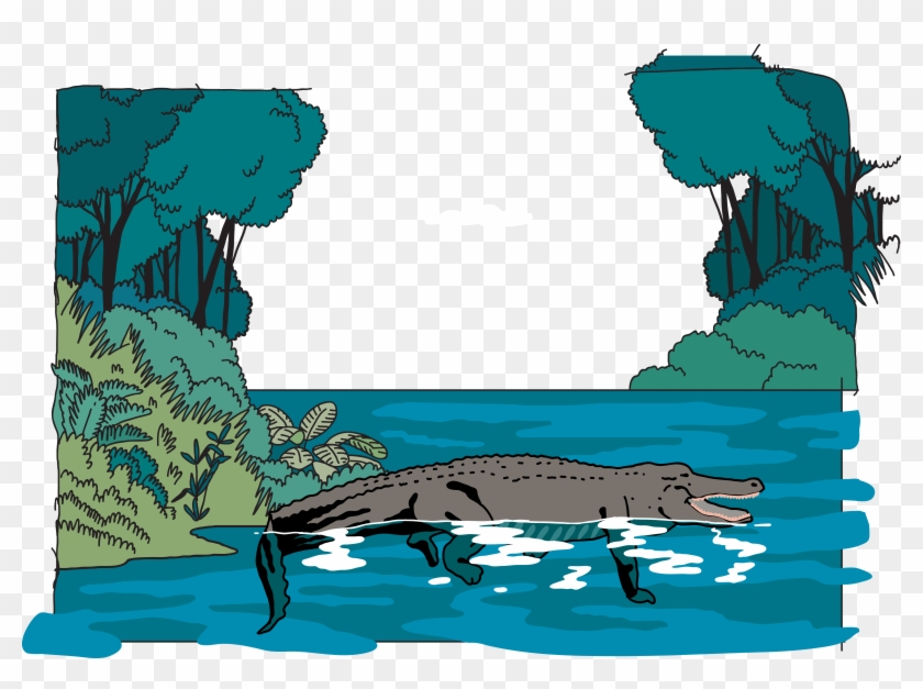 Amazon Rainforest Jungle Euclidean Vector Illustration - Vector Graphics #1075134