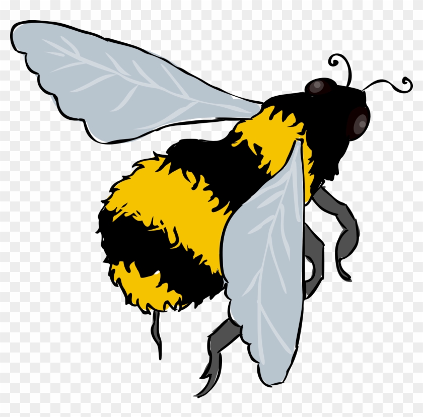 Insect #1077533