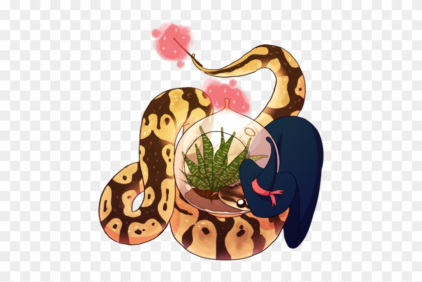 Snakes Reptile Ball Python Animal Spotted Python - Ball Python #1078681