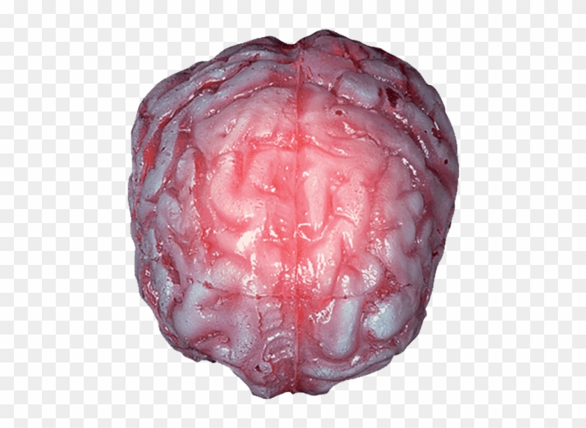 Color Changing Realistic Brain - Color Changing Realistic Brain #1078882