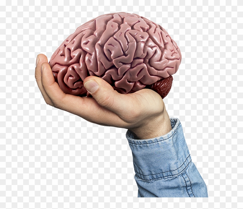 We Use What We've Learned About The Brain Through Advancements - Diagram #1078889