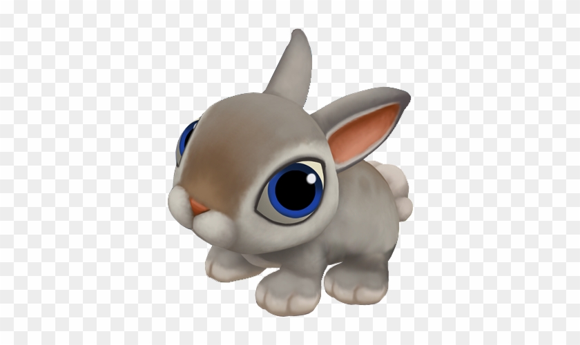 Rabbit Png - Rabbit #1079058