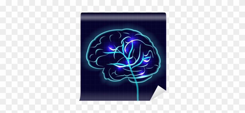 Human Brain #1079112