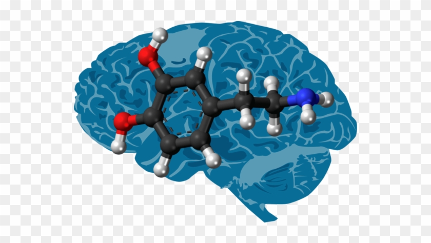 Researchers Have Created An Implantable Chip That Detects - Dopamine Content Brain Mouse #1079142
