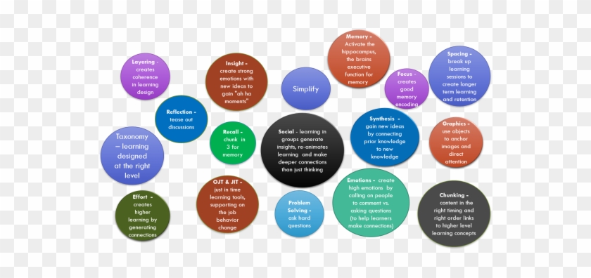 Accelerate And Embed New Behaviors Through Brain-based - Circle #1079166