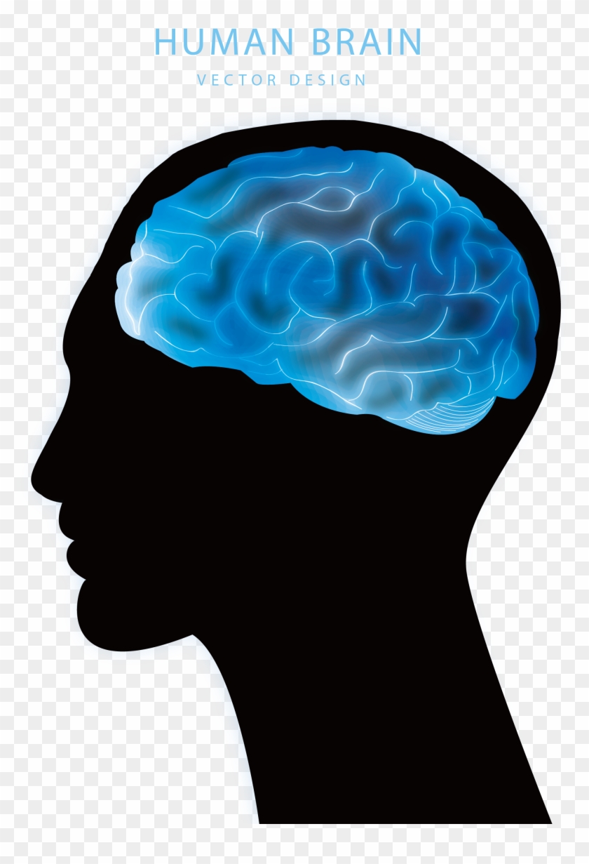 Blue Brain Project Agy Euclidean Vector - Brain #1079203