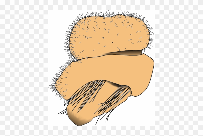 Clip Art #1079224