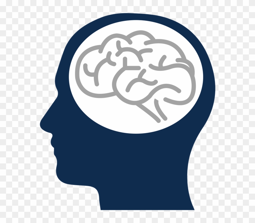 Brain #1079296