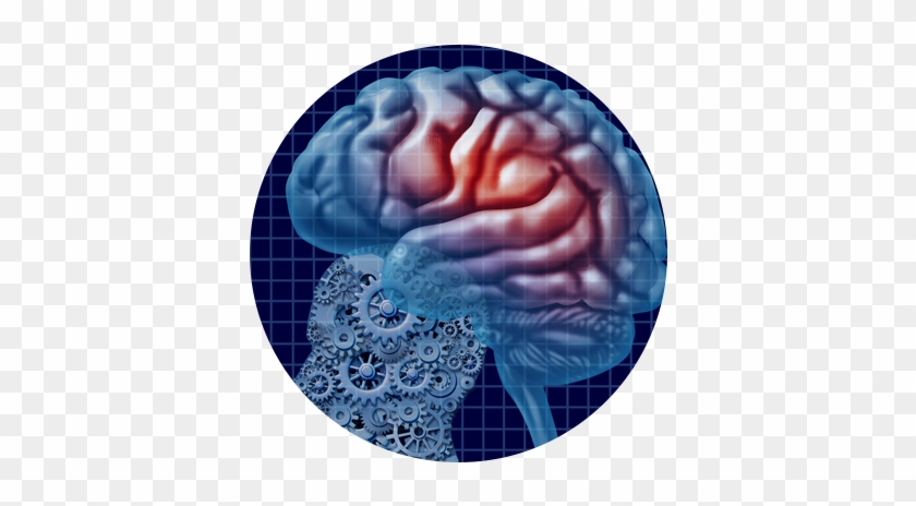 Types Of Traumatic Brain Injurieslearn More - Memory And The Self: Phenomenology, Science And Autobiography #1079330