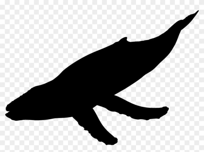 Make A Silhouette - Unicorn Head Silhouette Png #1080030