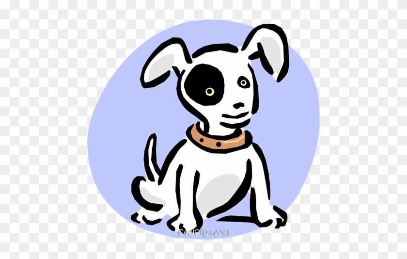 Filhote De Cachorro Com Olho Roxo Livre De Direitos - A Pet's Paradise #1080154