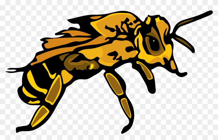 Honeybee - Honeybee #1080618
