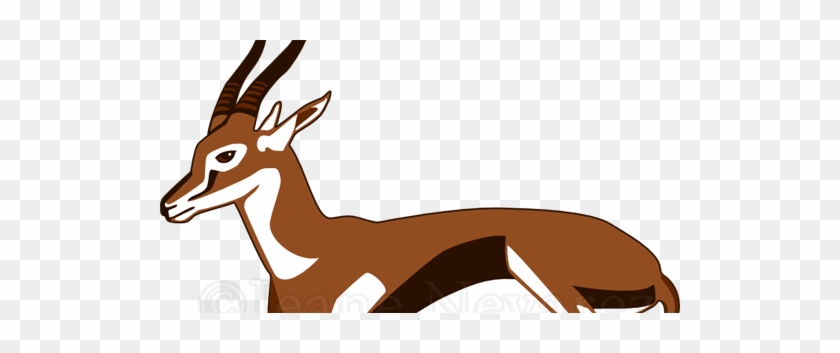 Pronghorn Antelope Clipart #1080982