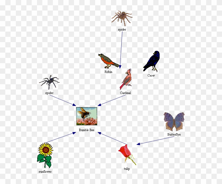 Image - Honey Bee Food Chain #1081677