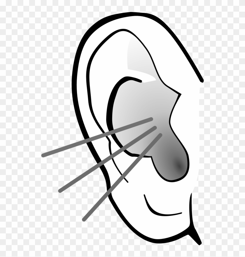 Listening Ear Clipart - Listening Ear Clipart #1083279