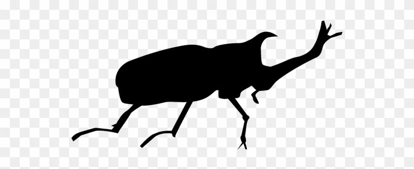 View All Images-1 - Chizé #1084705