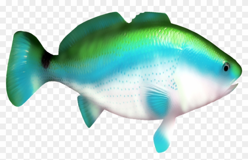 Fish Clipart Eleven - Рыбки Пнг #1086118