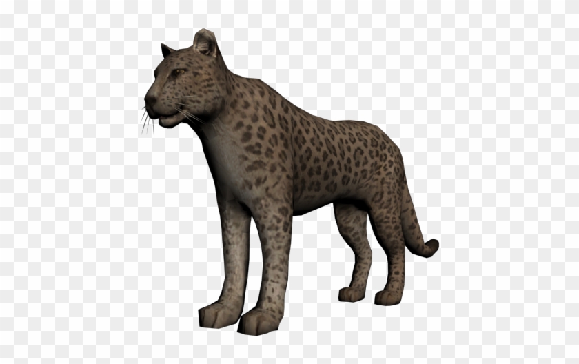 Khan The Jaguar - Jaguar #1086585