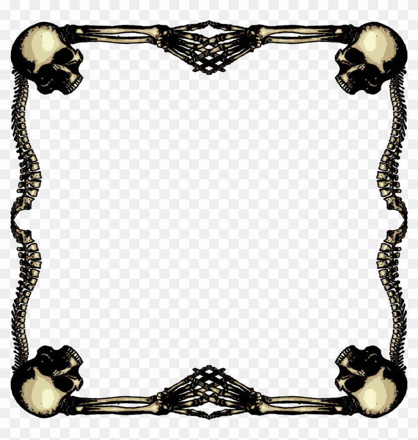 Skeletal Frame Large By Sevenbridges Skeletal Frame - Skull Frame Transparent #1086695