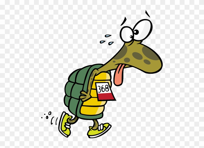 Apparently, The Dude Waited In The Crowd And Ran Just - Turtle In A Race #1086883
