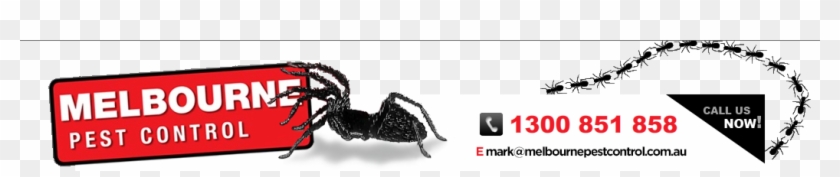 Insect #1089398