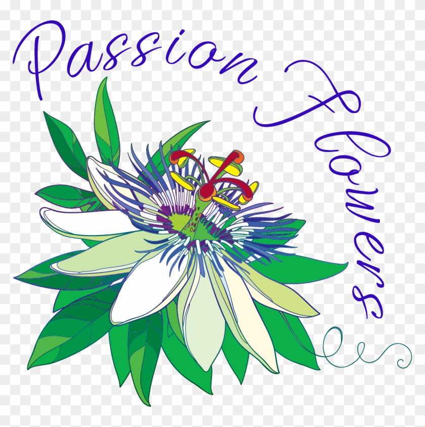 Passionflower Vector #1089573