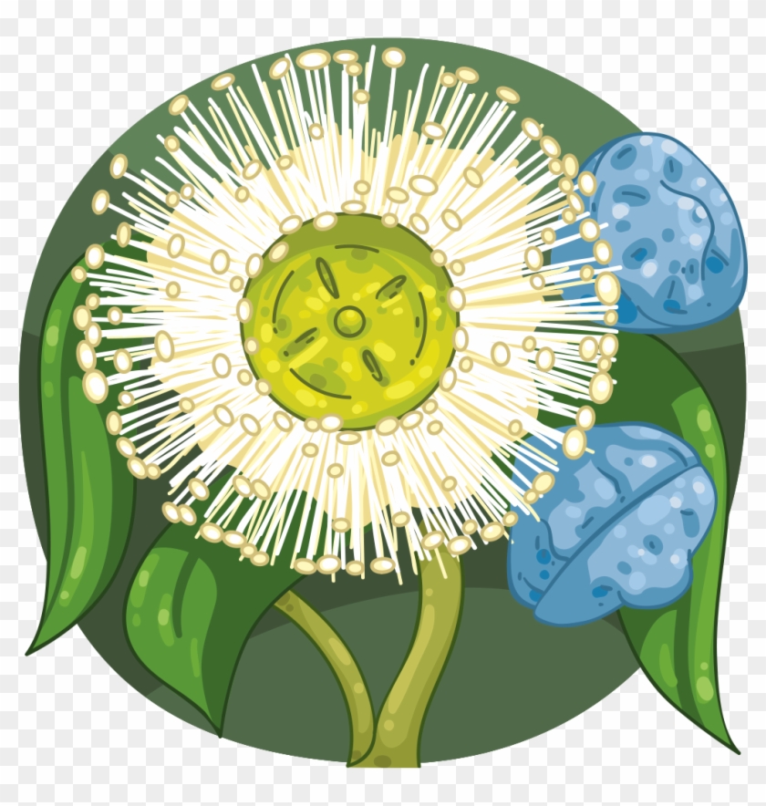 Dayflower #1089576
