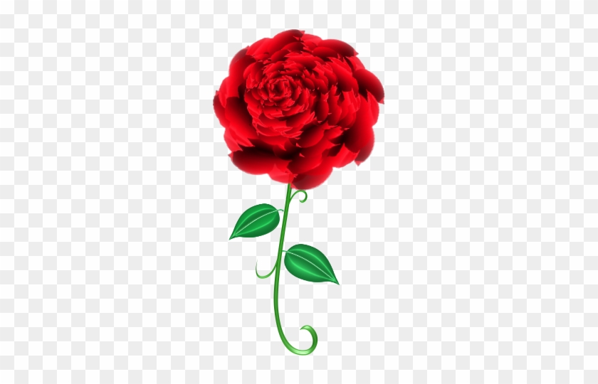Garden Roses #1089977