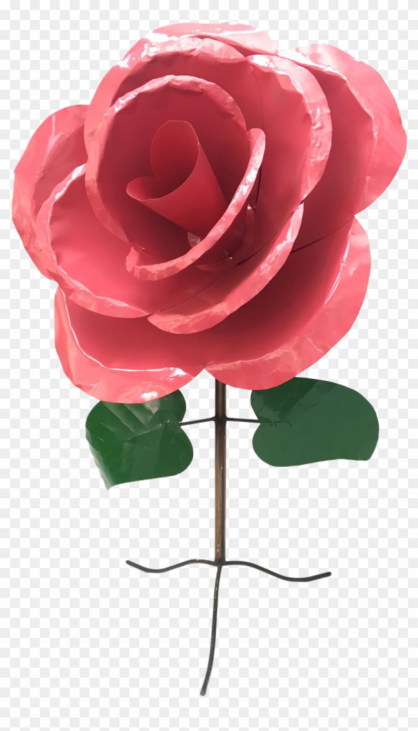 Garden Roses #1089984