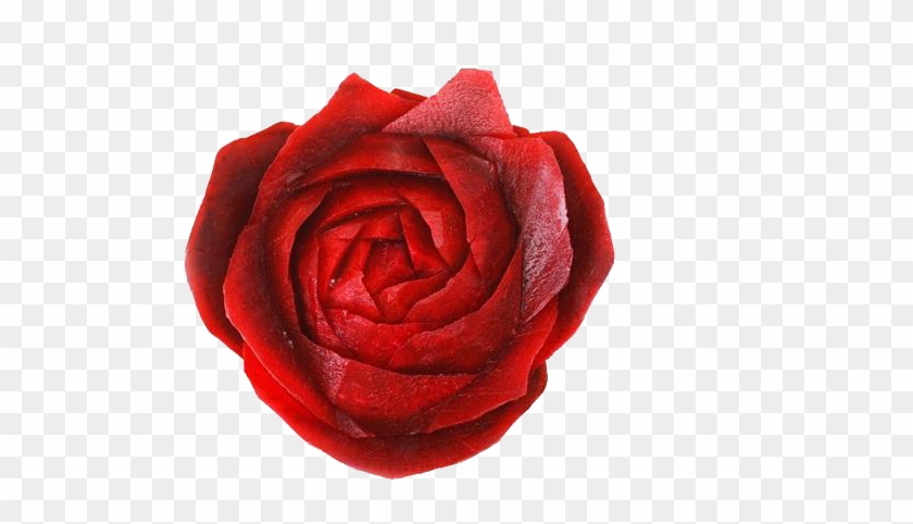 Vegetable Photography Beetroot Food - Garden Roses #1090250