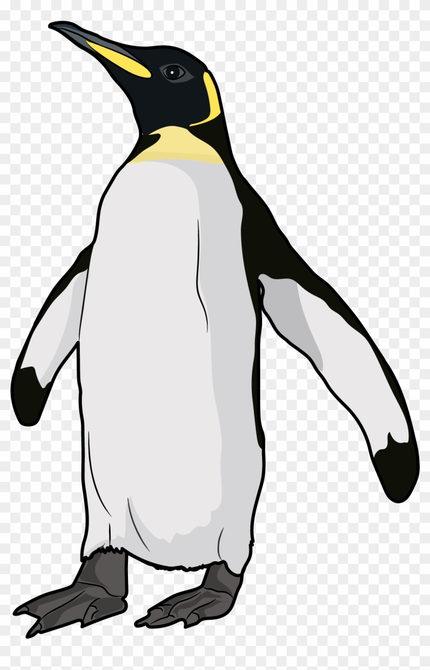 King Penguin #1090504
