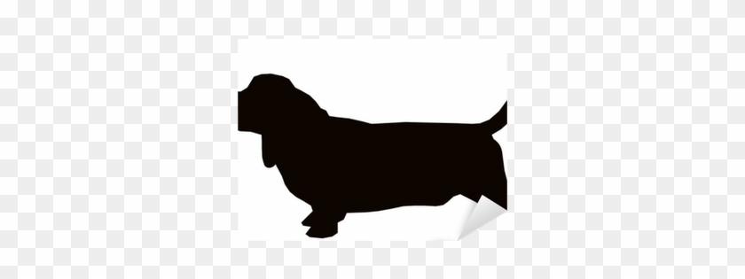 Basset Hound #1090966