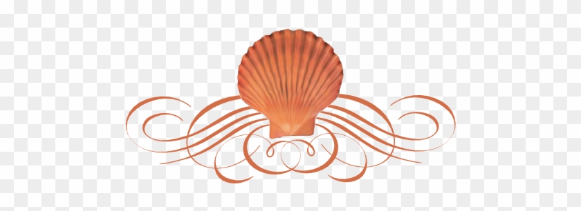 Seashell Flourish - Seashell Divider Png #1093041