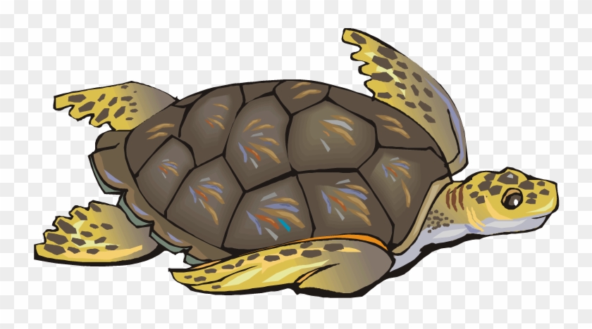 Green Turtle With Brown Shell Cartoon Clipart - Clipart Of Sea Turtle #1094297