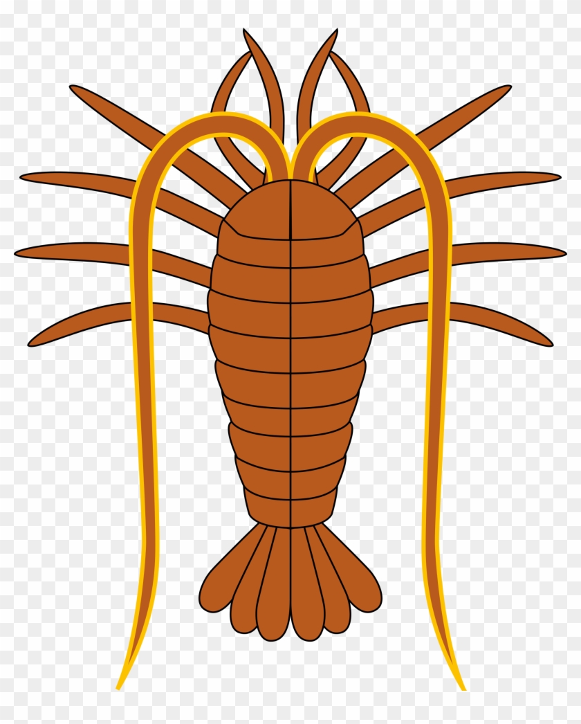 Free Photos > Vector Images > Lobster Vector Clipart - Turks And Caicos Coat Of Arms Throw Blanket #1094552