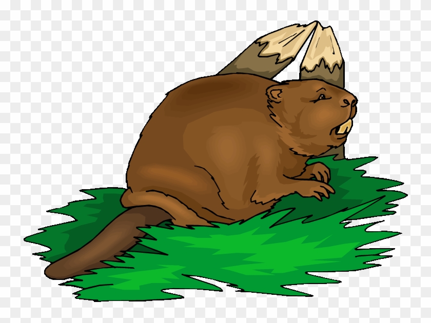 Yellow Beaver Clip Art Clip Art Library - Beaver Clipart #1095329