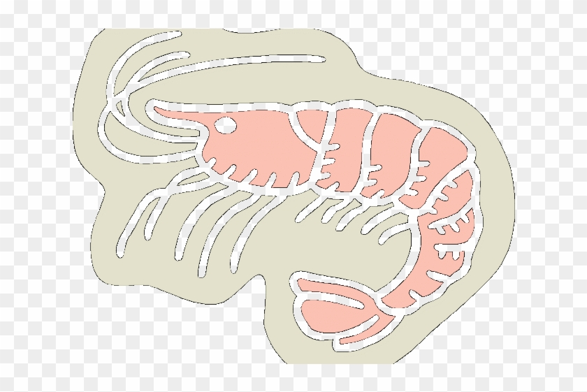 Shrimp Clipart Shell Fish - 3drose Fl_39583_1 Baby Pink Shrimp Garden Flag, 12 #1095871